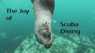 The Joys of Scuba Diving