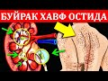 СИЗНИ БУЙРАГИНГИЗ ХАВФ ОСТИДА ЕКАНЛИГИНИ 11 ТА БЕЛГИСИ ! КЎП ОДАМЛАР БУ АЛОМАТЛАРГА ЭЪТИБОР БЕРМАЙДИ