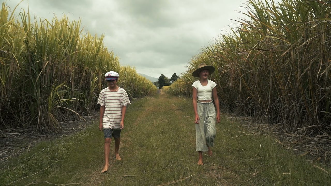 Explore Proserpine, old country style town in The Whitsundays