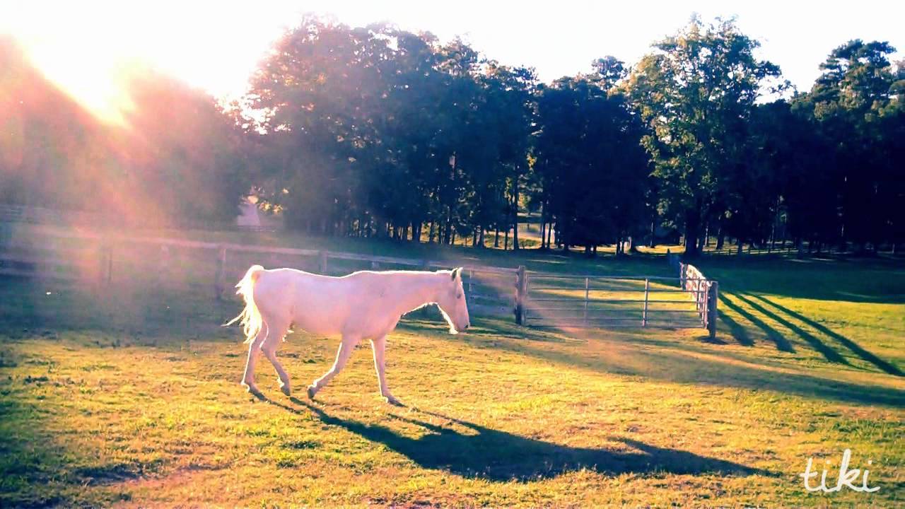 |Wherever I'm With You|Sammy&Dean|