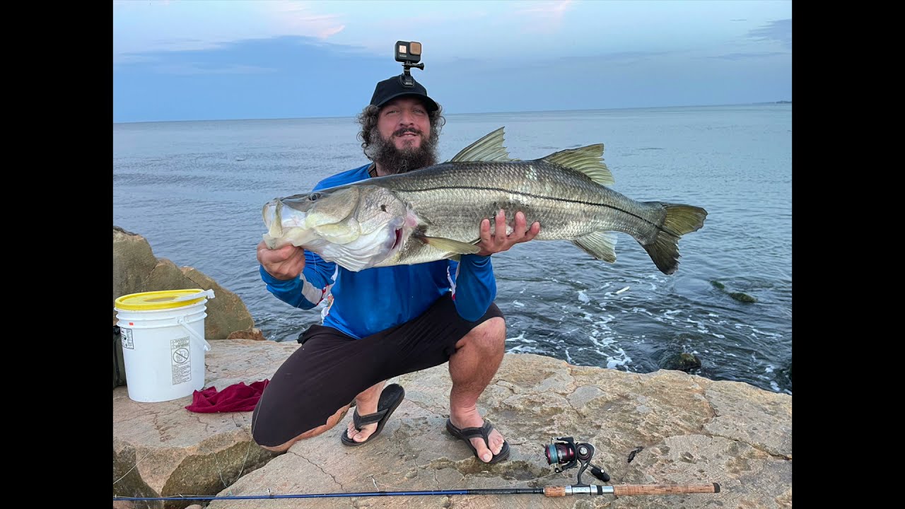 My First Snook Over 40 - Using Live Lady Fish While Braving The