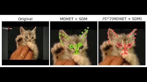 PD2T : Person-specific Detection, Deformable Tracking