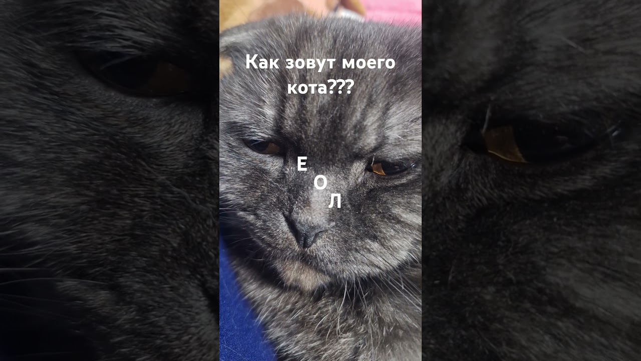 Блин капец он спать хочет