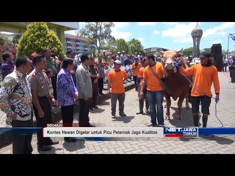 Dinas Pertanian dan Perikanan Kota Medan Periksa Hewan 