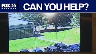 New video of Charlie Kirk shooting suspect released by FBI
