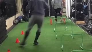 Lateral Shuffle-to-Hurdle Jump