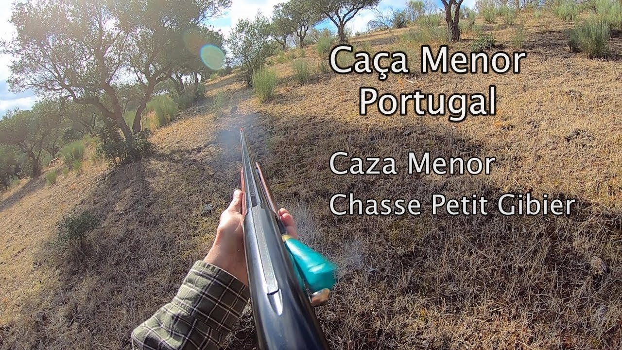 Alentejo Caça Portugal Caza en Portugal Chasse au Portugal Caccia in