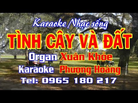 KARAOKE| TÌNH CÂY VÀ ĐẤT (Fullbeat) phượng hoàng kara