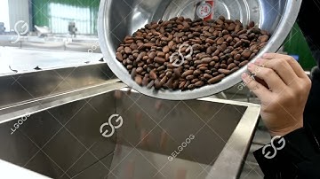 Small Cocoa Bean Roasting Machine / Cacao Roaster Machine