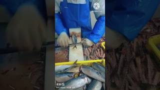 Easy and Smart Techniques to Cut Fish l 🐟 l #shorts #viralshorts #fishcutting #fish