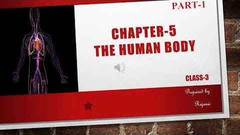 CLASS-3    CHAPTER-5    PART-1    SCIENCE    THE HUMAN BODY