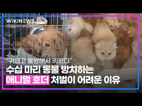 &amp;quot;귀엽고 <strong>불쌍해서</strong> 키웠다&amp;quot; 수십 마리 동물 방치하는 &amp;#39;애니멀 호더&amp;#39; 처벌이 어려운 이유