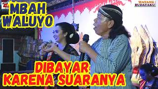 DAGELAN JOWO MBAH WALUYO . . . . GENDING SRAGENAN PODANG KUNING SINDEN CANTIK WAYANG KULIT KI TANTUT