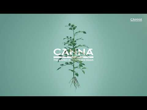 Watch Canna Terra Vega // Fase de Crecimiento // Video Infografía en 3D on YouTube.