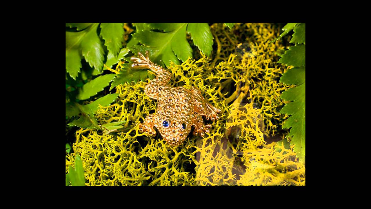 Advertising Product Photography, Los Angeles, California