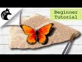 Rock Painting Tutorial For Beginners butterfly