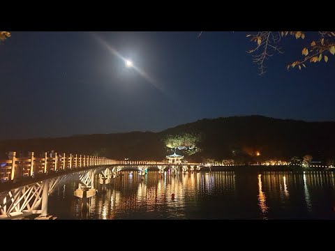 그애와 나는 영원을 약속했었지 애원 전영록 가사 더보기에