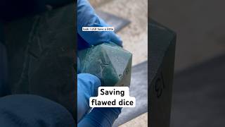 Bringing Home A Reject And Giving It Some Love