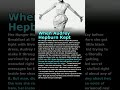 The Secret Audrey Hepburn Never Told Anyone! A6zzOFSjbAU 01 score30 unknown 5034129840 a6af156e57