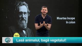 Starea Sanatatii: Cu ce mâncăm legumeleLasă animalul, bagă vegetalul!