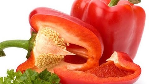 Ớt Chuông Đỏ Đà Lạt | Tuấn Nguyên Corp