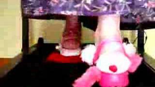 Sandals Stepping On Doll Crocs Crushing Stuffed Dog Animal Sandals Stepping On Doll Crocs Crushing Stuffed Dog Animal