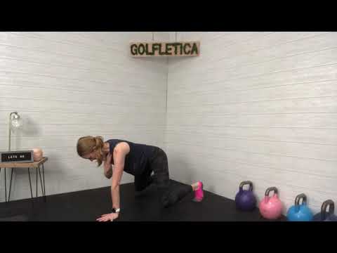 Elevated Bird Dog Shoulder Tap