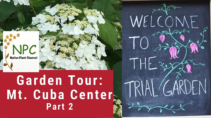 Garden Tour: Mt. Cuba Center part 2 Visit the Trial Garden - see the best-performing native plants!