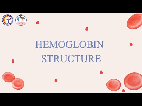 Hemoglobin Có Chức Năng Gì - Hemoglobin Structure ( Cấu trúc huyết sắc tố  ) -Medicosis Perfectionalis - Viet DUB video by S.o.C