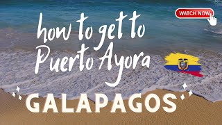 How to Get From Baltra Airport to Puerto Ayora in the Galapagos Islands & How Much It Will Cost You!