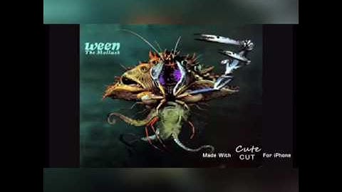 Ocean man but every word is ocean man or is it