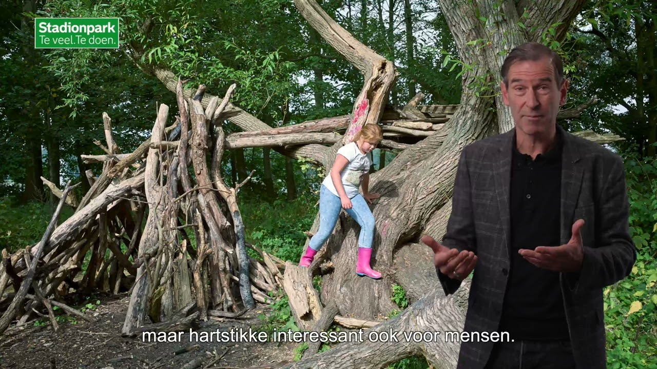 Stadionpark 2024 - The Movie | Stadionpark Rotterdam