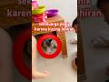 semua panik kucing lahiran di kasur‼️
