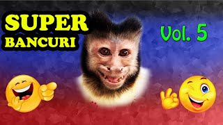 ✅Bancuri Super Tari V5