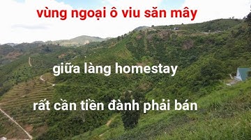 222 | đất thôn 12 lộc thành lâm đồng | giữa làng homestay rất đông vui | không làm được rất cần bán
