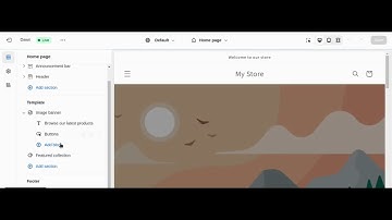 How To Add Custom CSS On Shopify Theme
