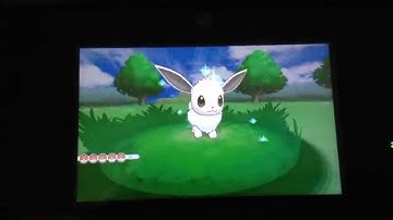 Second Shiny Eevee Appear In Friend Safari