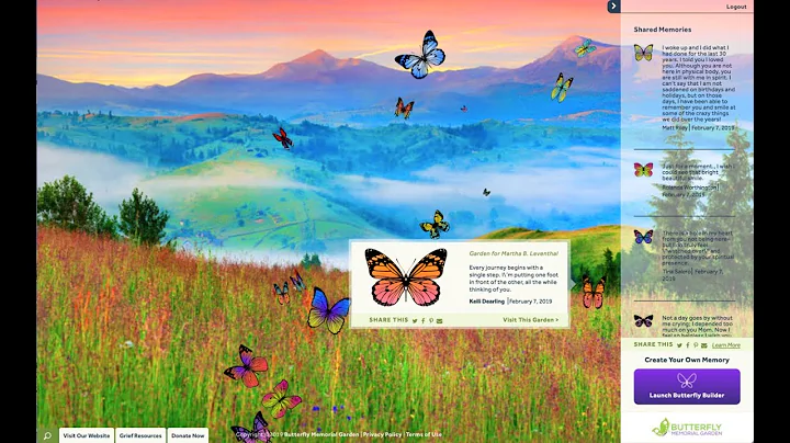 Mary York:  How Butterflies Transform Grief