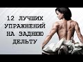 ТОП 12 упражнений на ЗАДНЮЮ ДЕЛЬТУ/ TOP 12 REAR DELTS EXERCISES