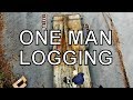 IF YOU OWN A SAWMILL YOU NEED TO WATCH THIS VIDEO! TOOLS FOR SMALL SCALE URBAN LOGGING,