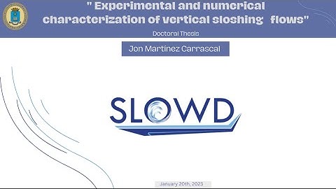 "Experimental and numerical characterization of vertical sloshing flows" Doctoral Thesis