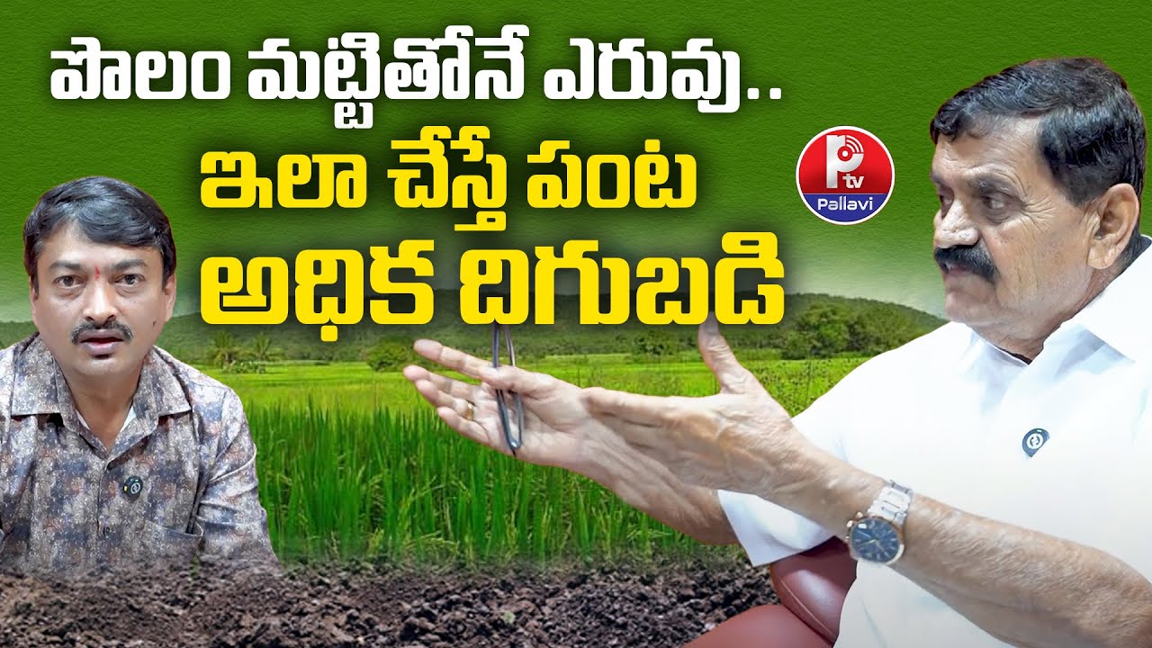 Telangana Farmer Chinthala Venkat Reddy Shares Innovative Agriculture Tips | Farm Soil As Fertilizer