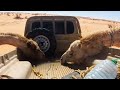 اذا ماعندك وعا تحط الماء فيه سو كذا