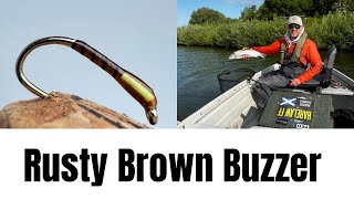 This Buzzer is Catching for me Right Now - Rusty Brown Buzzer #flytying #troutfishing #flyfishing