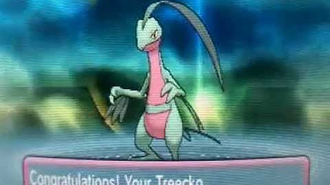 Pokemon Omega Ruby And Alpha Sapphire Treecko evolve into Grovyle