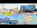 遠方組っていくらかかるの?40周年のディズニー旅行!