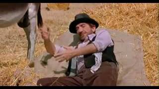 O Jegue Não Erra Nunca