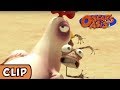 Oscar&#39;s Oasis - A Clucking Good Escape | HQ | Funny Cartoons