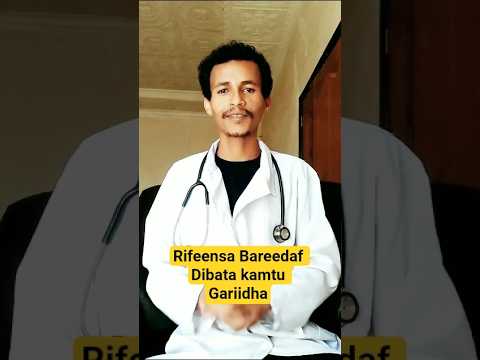 Rifeensa Bareedaf Dibata Kamtu Gariidha Neworomomusic Oromo Ethiopianews Shorts