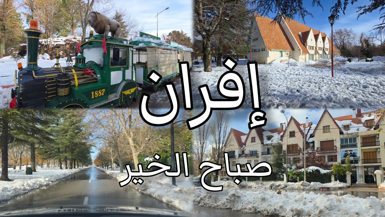 إفران❤️ سحر الطبيعة الهدوء في قلب المغرب #travel 🇲🇦❄️ifrane morocco